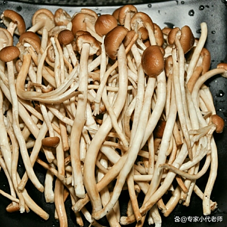 我国最好吃的五大蘑菇,你吃过几个,第一二名以鹿茸和珍珠命名 7 我国最好吃的五大蘑菇,你吃过几个,第一二名以鹿茸和珍珠命名 7